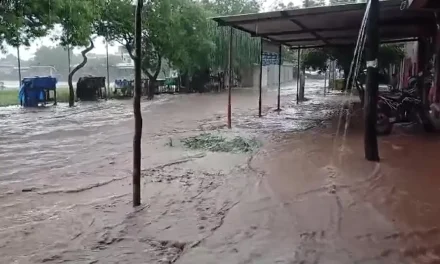 BENI Y CHUQUISACA SE DECLARAN EN EMERGENCIA DEPARTAMENTAL POR  INUNDACIONES