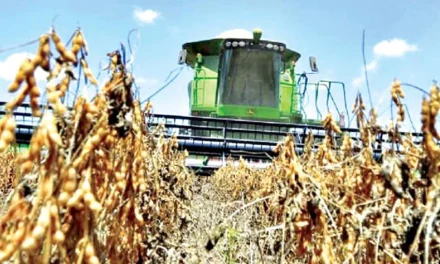 PRESIDENTE PIDE PRIORIZAR DIÉSEL PARA LA AGRICULTURA