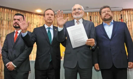 A CINCO MESES DE LOS COMICIOS HAY 17 PRECANDIDATOS PRESIDENCIALES