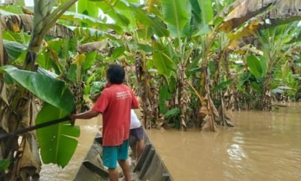 MÁS DE 100 FAMILIAS ESSE EJJAS SUFREN LA FALTA DE ALIMENTACIÓN Y ENFERMEDADES