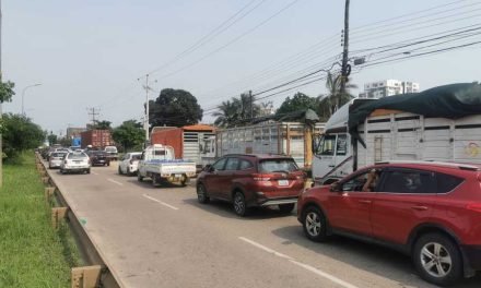 APRUEBA DECLARATORIA DE EMERGENCIA POR FALTA DE COMBUSTIBLE EN SANTA CRUZ