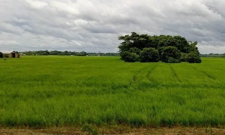 EL ESTADO FICTICIO, QUE BUSCA OCUPAR TIERRAS INDÍGENAS EN BOLIVIA, PROVOCÓ LA CAÍDA DE UN JEFE DE GABINETE EN PARAGUAY