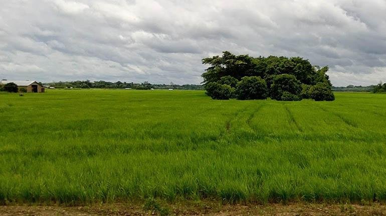 EL ESTADO FICTICIO, QUE BUSCA OCUPAR TIERRAS INDÍGENAS EN BOLIVIA, PROVOCÓ LA CAÍDA DE UN JEFE DE GABINETE EN PARAGUAY
