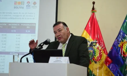 ALZA DE PASAJES, CARNE Y DE ÚTILES ESCOLARES INCIDIERON EN INFLACIÓN DE 1,26% DE FEBRERO