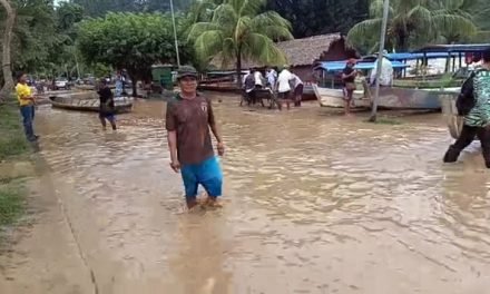 INUNDACIONES EN LA AMAZONÍA DE BOLIVIA AFECTAN A 2.000 FAMILIAS