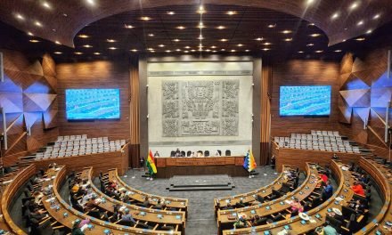 DIPUTADOS APRUEBA LEY DE DEBATE OBLIGATORIO 