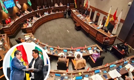 CÁMARA DE SENADORES APRUEBA EN GRANDE Y DETALLE EL PROYECTO DE LEY PARA LA PROTECCIÓN DE LA INTEGRIDAD SEXUAL DE NIÑAS, NIÑOS Y ADOLESCENTES EN ENTORNOS DIGITALES