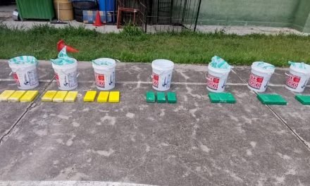 INCAUTAN DROGA CAMUFLADA EN BALDES DE PINTURAS