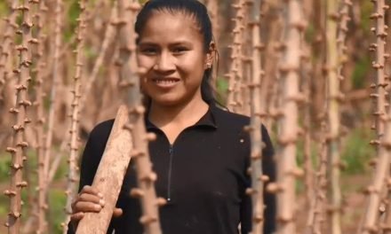 INDÍGENAS LIDERAN FORO SOBRE GESTIÓN SOSTENIBLE DEL BOSQUE