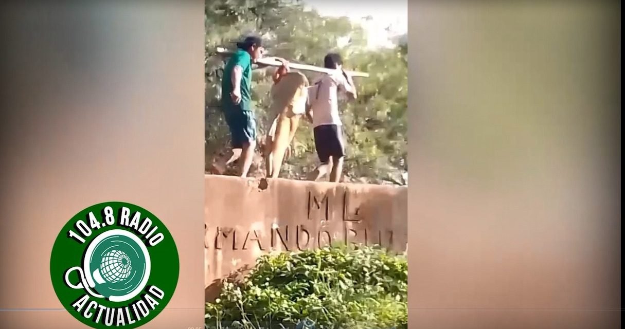 PESCAN UN PEZ DE MÁS DE 40 KILOS EN PUERTO PAILAS