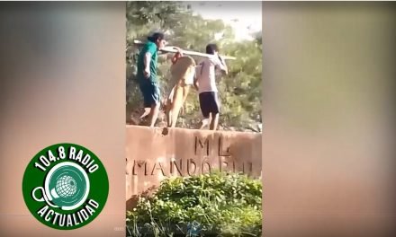 PESCAN UN PEZ DE MÁS DE 40 KILOS EN PUERTO PAILAS