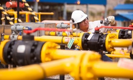 YPFB TRANSPORTARÁ GAS ARGENTINO A BRASIL, ESPERA GENERAR $US 200 MILLONES ANUALES