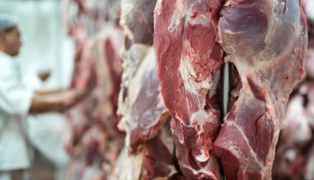 GOBIERNO MANTIENE SUSPENSIÓN DE EXPORTACIÓN DE CARNE HASTA QUE BAJE SU PRECIO