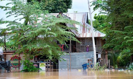 DESBORDE DEL RÍO ACRE AFECTA A BOLPEBRA Y AMENAZA A COBIJA