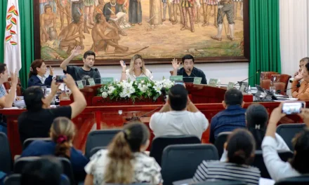 CONCEJO APRUEBA LEY DE FISCALIZACIÓN QUE PODRÍA SUSTITUIR A SECRETARIOS Y HASTA UN ALCALDE EN SUPLENCIA