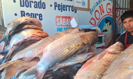 LISTA OFICIAL DE LOS PRECIOS DE PESCADOS EN ESTA SANTA CRUZ