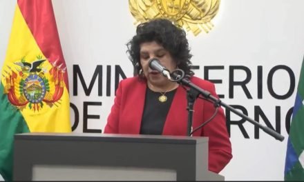 CAROLA ARRAYA ES LA NUEVA VICEMINISTRA DE SEGURIDAD CIUDADANA