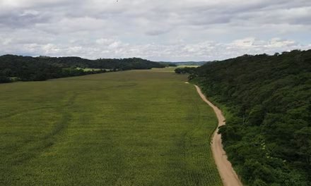 LAS TIERRAS DE RAFAEL, EL HIJO DEL PRESIDENTE ARCE