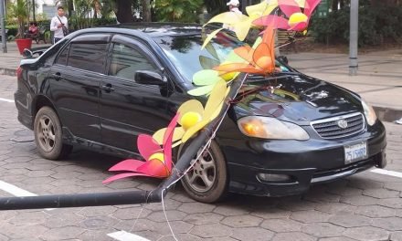 DECORACIÓN CAE SOBRE UN AUTO EN LA PLAZA 24 DE SEPTIEMBRE