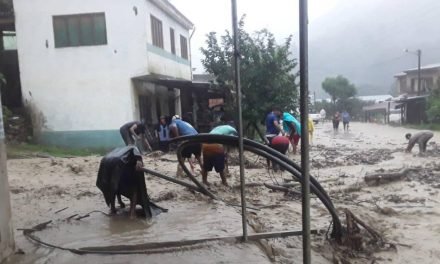 LLUVIAS DEJAN MAS DE 800 FAMILIAS DAMNIFICADOS EN CARANAVI