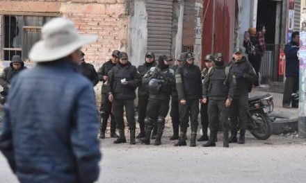 FUERTE RESGUARDO POLICIAL  PIRQUE – PAROTANI EN LA MARCHA ‘EVISTA’