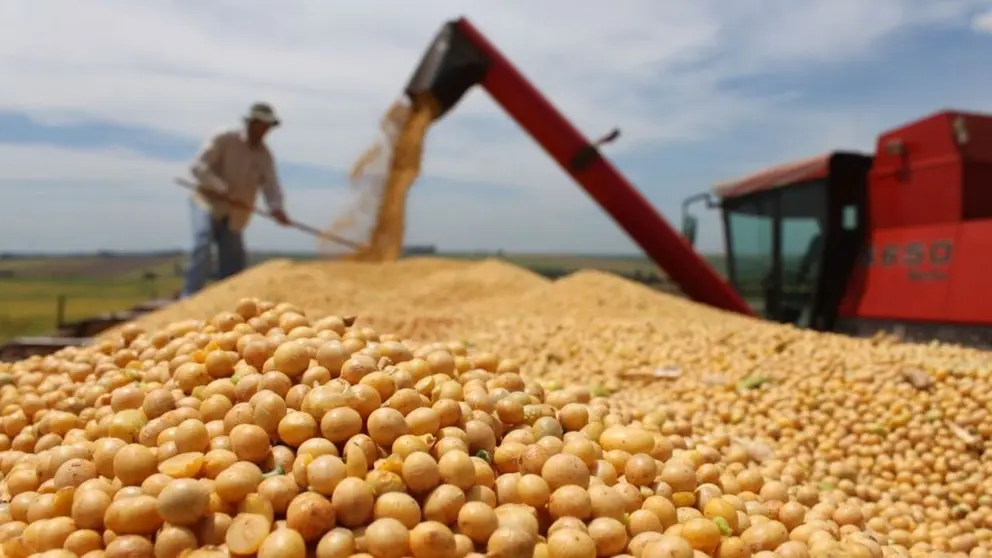 GOBIERNO ABRE LA EXPORTACIÓN DE HASTA 250 MIL TONELADAS DE SOYA