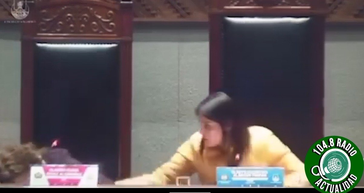 SENADORA SE DESMAYA EN PLENA SESIÓN DE LA ALP