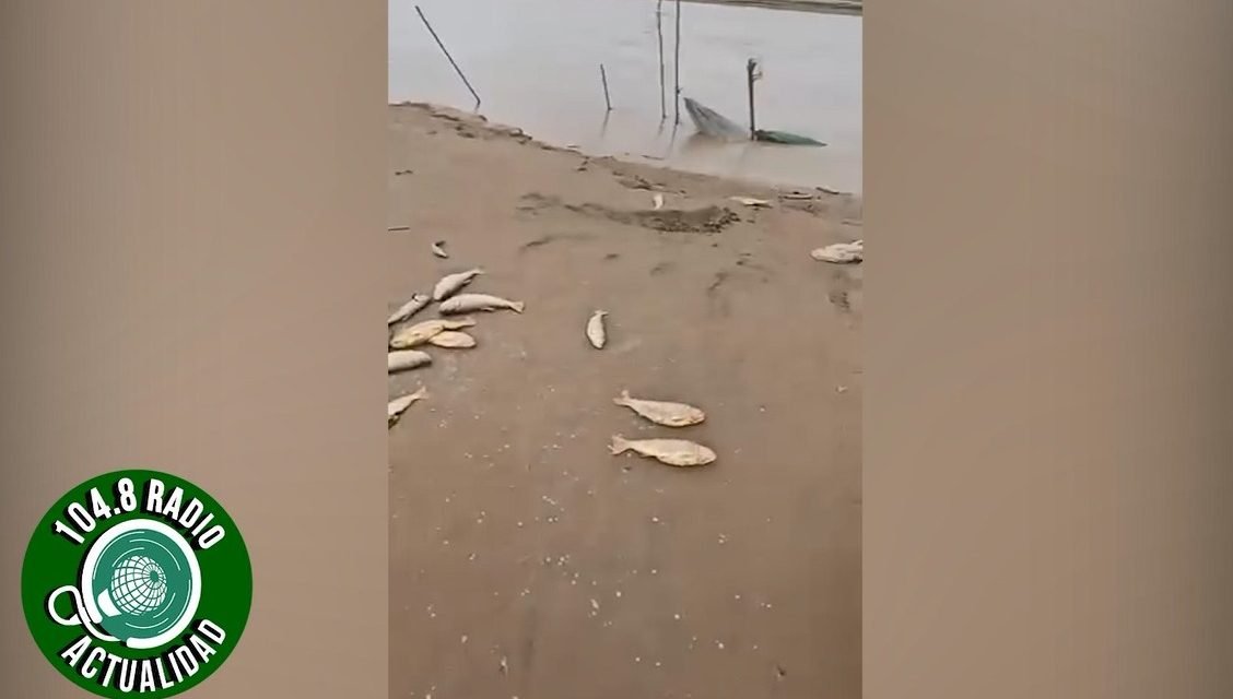 PREOCUPACIÓN EN SAN JULIÁN POR ABANDONO Y DESCOMPOSICIÓN DE PECES EN RÍO GRANDE