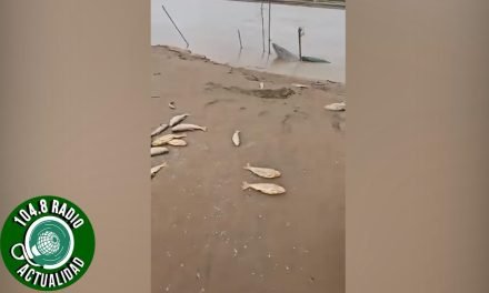 PREOCUPACIÓN EN SAN JULIÁN POR ABANDONO Y DESCOMPOSICIÓN DE PECES EN RÍO GRANDE