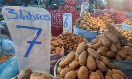 SUBEN PRECIOS DE LAS  VERDURAS POR LOS BLOQUEOS
