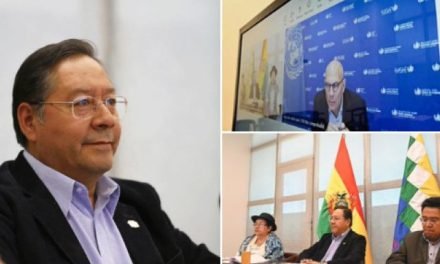 ARCE DENUNCIA ANTE EL JEFE DE DDHH DE LA ONU LOS INTENTOS DESESTABILIZADORES DE EVO