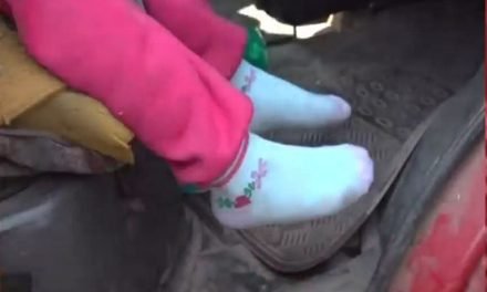 UNA GRÚA DE TRANSITO REMOLCÓ UN VEHÍCULO CON UNA NIÑA DENTRO