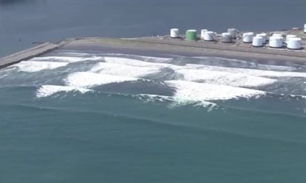 GRANDES OLAS DE TSUNAMI IMPACTARON EN JAPÓN TRAS EL TERREMOTO EN KAMCHATKA