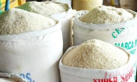 INSUMOS BOLIVIA DENUNCIA FRAUDE MILLONARIO EN COMPRA DE ARROZ A EMPRESA ARGENTINA