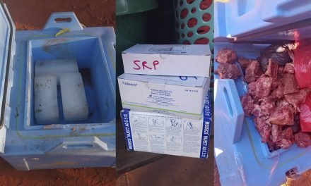 COLOCAN CARNE EN TERMOS DE VACUNAS