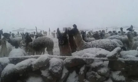 EMERGENCIA POR NEVADA EN POTOSÍ Y TARIJA