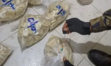 POLICÍAS Y NARCOS SE ENFRENTAN A BALAS DURANTE LA INTERVENCIÓN DE UNA FÁBRICA DE DROGA EN EL CHAPARE