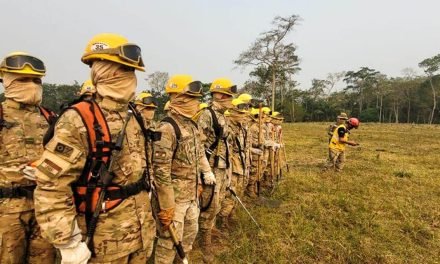 MILITARES SE MOVILIZAN PARA COMBATIR 12 INCENDIOS ACTIVOS EN SANTA CRUZ