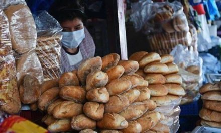 PANADEROS AMENAZAN CON DESAPARECER EL PAN DE BATALLA POR FALTA DE HARINA