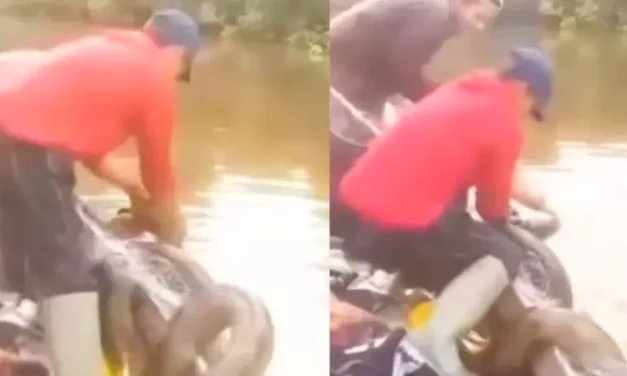 PANDO: PESCADOR ATACADO POR UNA SICURÍ