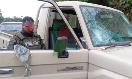 VIOLENTA EMBOSCADA A POLICÍAS DE LA FELCN EN VILLA TUNARI DEJA DOS HERIDOS