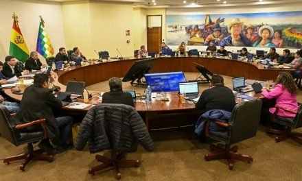 EL BUNKER PREVÉ FRACTURA INTERNA EN EL GABINETE DE LUIS ARCE POR CANDIDATURA DE DEL CASTILLO