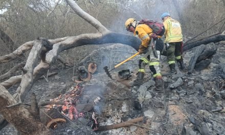 POR RIESGO DE INCENDIOS, GOBERNACIÓN EMITE ALERTA NARANJA