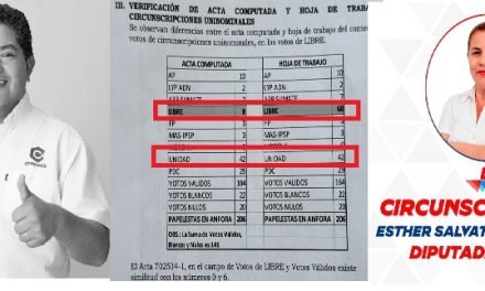 TED CORRIGE ERROR EN ACTA Y LIBRE GANA OTRO CURUL EN SANTA CRUZ