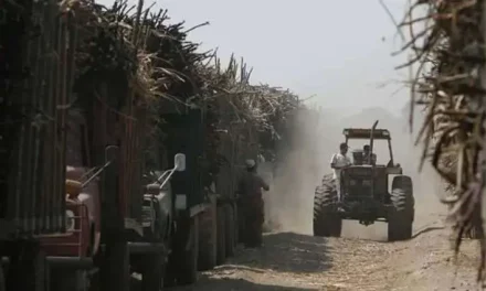 EMERGENCIA EN SECTOR CAÑERO POR DISTRIBUCIÓN IRREGULAR DE DIÉSEL