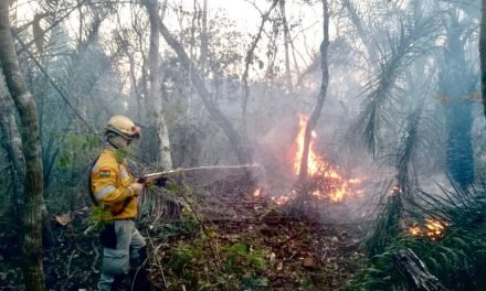 ALERTA EN SANTA CRUZ: GOBERNACIÓN REPORTA 11 INCENDIOS Y 460 FOCOS DE CALOR