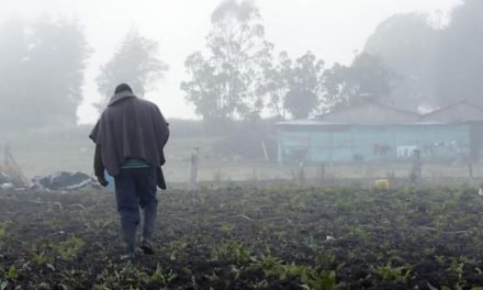 CUATRO DEPARTAMENTOS SUFREN IMPACTOS POR HELADAS Y SEQUÍAS