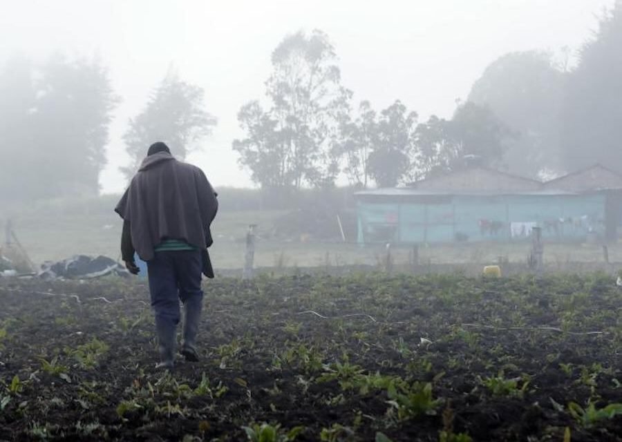 CUATRO DEPARTAMENTOS SUFREN IMPACTOS POR HELADAS Y SEQUÍAS