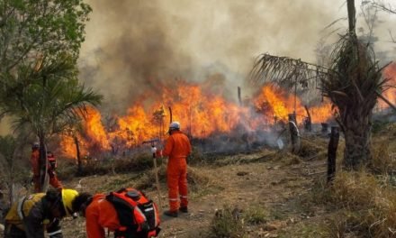 SANTA CRUZ EN ALERTA ROJA: GOBERNACIÓN INTENSIFICA ACCIONES ANTE INCENDIOS FORESTALES