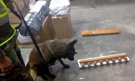 FELCN HALLA COCAÍNA EN DEPÓSITO DE COURIER CON DESTINO A CHINA